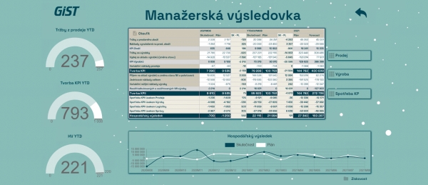 Finanční controlling - Ukázka reportingové mapy Manažerská výsledovka